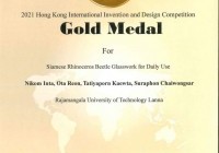 Image : Gold Award IIDC