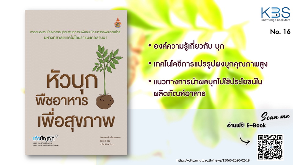 KBS No.16 หัวบุก พืชอาหารเพื่อสุขภาพ