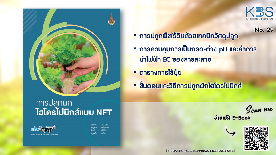 KBS No.29 การปลูกผักไฮโดรโปนิกส์แบบ NFT