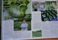 Image : ผลงานการปรับปรุงพันธุ์พืช โดย ผู้ช่วยศาสตราจารย์ ดร.จานุลักษณ์ ขนบดี ได้รับการตีพิมพ์ลงในนิตยสารเกษตรกรก้าวหน้า ปีที่ 9 ฉบับที่ 120 กันยายน 2563
