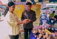 รูปภาพ : มทร.ล้านนา พิษณุโลก ร่วมกิจกรรมหน่วยบำบัดทุกข์ บำรุงสุข สร้างรอยยิ้มให้ประชาชน ประจำปีงบประมาณ พ.ศ. 2567 เดือนมิถุนายน 2567