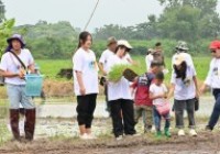 รูปภาพ : มทร.ล้านนา เชียงราย จัดกิจกรรม สืบสาน รักษา ต่อยอด จิตอาสา ปลูกวันแม่ เกี่ยววันพ่อ เทิดไท้พระคุณแม่ แซ่ซ้องพระพันปีหลวง 12 สิงหาคม 2567