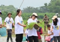 รูปภาพ : มทร.ล้านนา เชียงราย จัดกิจกรรม สืบสาน รักษา ต่อยอด จิตอาสา ปลูกวันแม่ เกี่ยววันพ่อ เทิดไท้พระคุณแม่ แซ่ซ้องพระพันปีหลวง 12 สิงหาคม 2567