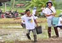 รูปภาพ : มทร.ล้านนา เชียงราย จัดกิจกรรม สืบสาน รักษา ต่อยอด จิตอาสา ปลูกวันแม่ เกี่ยววันพ่อ เทิดไท้พระคุณแม่ แซ่ซ้องพระพันปีหลวง 12 สิงหาคม 2567