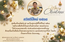 รูปภาพ : Merry Christmas and Happy New Year 2025