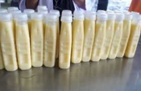 รูปภาพ : อาจารย์ มทร.ล้านนา ลำปาง ลำปาง เป็นวิทยากรฝึกอบรมเชิงปฏิบัติการ การทำไอศกรีมนมข้าวโพดแบบไม่ใช้เครื่องทำไอศกรีม และน้ำนมข้าวโพด